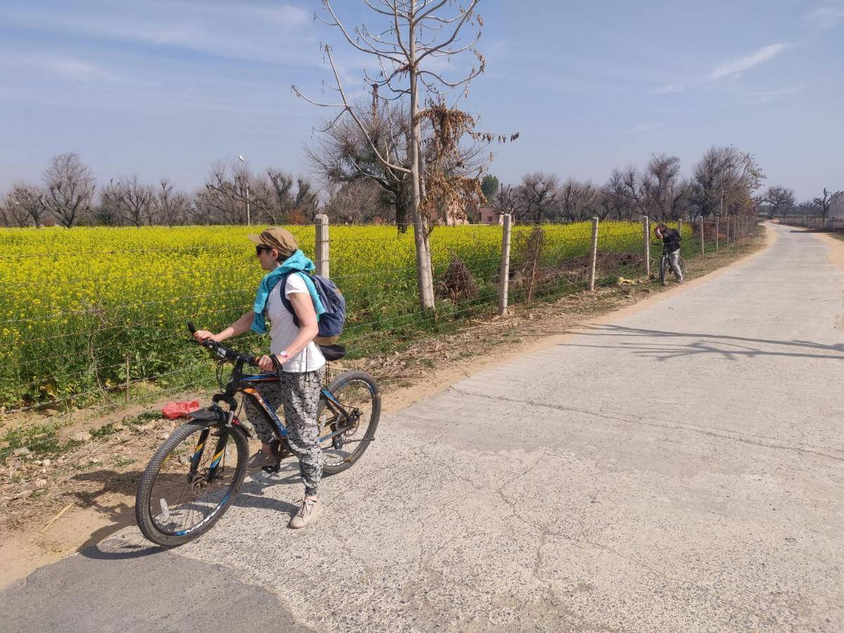 Tourist Pension Nawalgarh Luaran gambar